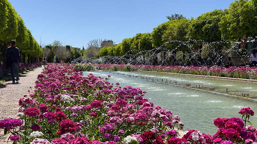 Alcazar Cordoba giardino fiorito